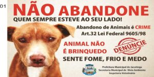 ABANDONO.jpg